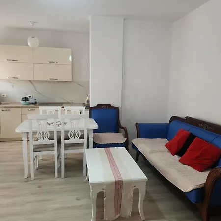 11 11 Vollga Dıraç